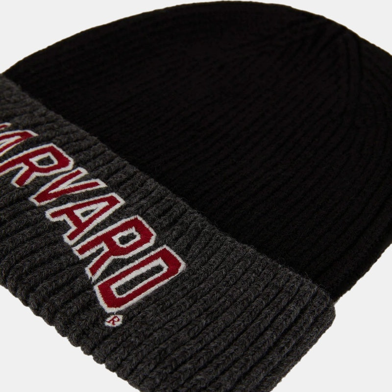 Зимна шапка "Harvard"
