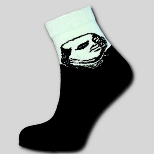Модерни Шарени Чорапи Картинка Известни Личности Бенджамин Франклин