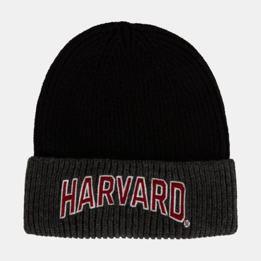 Зимна шапка "Harvard"